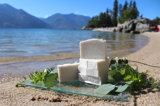 Ocean Mint Sea Salt Soap Bar - GOODLAND™ Soap & Body Products