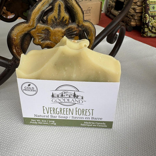 Goodland Evergreen Forest natural bar soap with decorative background